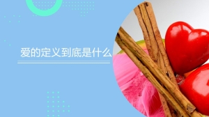 爱的定义到底是什么