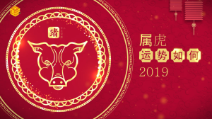 属虎2019年运势如何