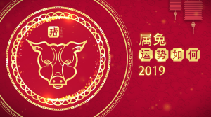 属兔2019年运势如何