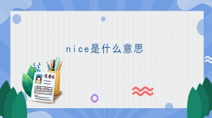 nice是什么意思