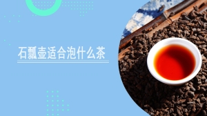 石瓢壶适合泡什么茶