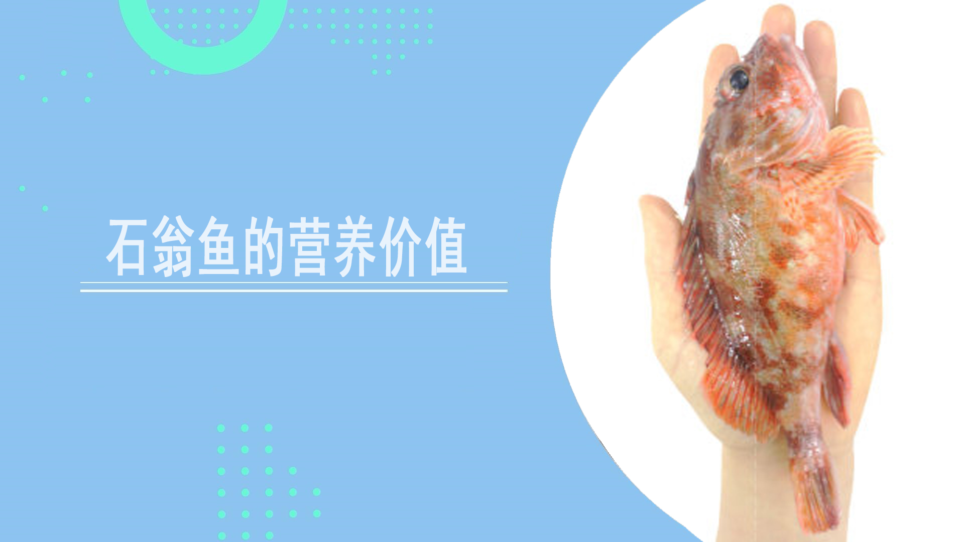 石翁鱼的营养价值