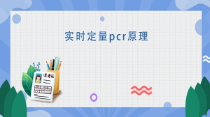 实时定量pcr原理