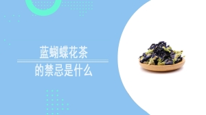 蓝蝴蝶花茶的禁忌是什么