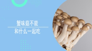 蟹味菇不能和什么一起吃