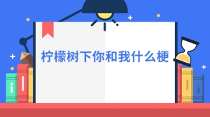 柠檬树下你和我什么梗