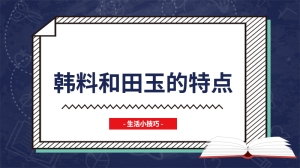 韩料和田玉的特点