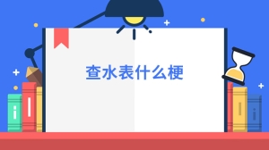 查水表什么梗