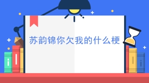 苏韵锦你欠我的什么梗