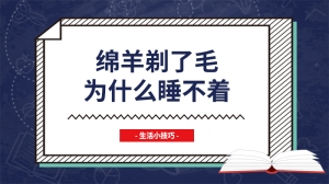 绵羊剃了毛为什么睡不着