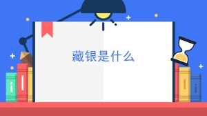 藏银是什么