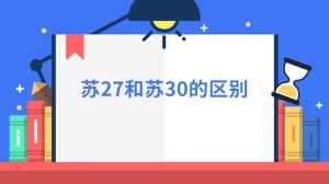 苏27和苏30的区别