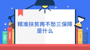 精准扶贫两不愁三保障是什么