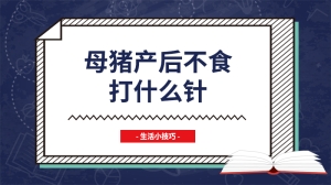 母猪产后不食打什么针