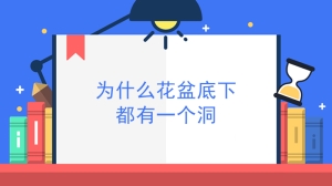 为什么花盆底下都有一个洞