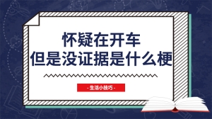 怀疑在开车但是没证据是什么梗