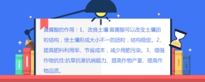 黄腐酸的作用是什么