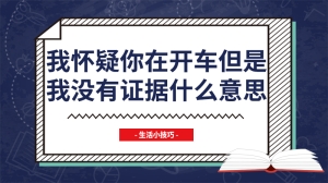 我怀疑你在开车但是我没有证据什么意思