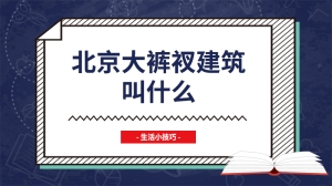 北京大裤衩建筑叫什么