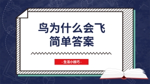 鸟为什么会飞简单答案