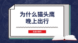 为什么猫头鹰晚上出行