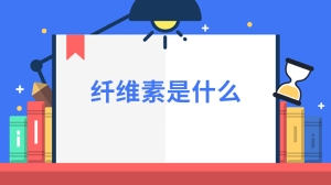 纤维素是什么