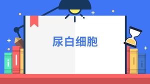 尿白细胞是什么