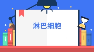 淋巴细胞是什么