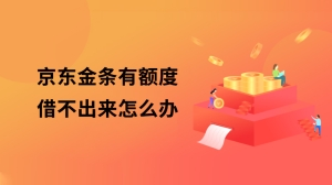 京东金条有额度借不出来怎么办