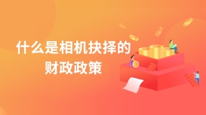 什么是相机抉择的财政政策