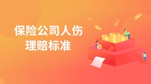 保险公司人伤理赔标准是什么