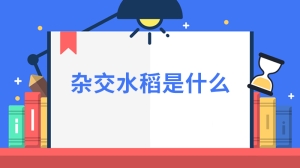 杂交水稻是什么