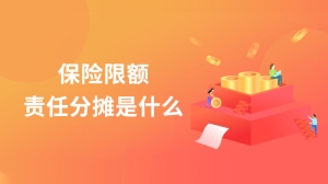 保险限额责任分摊是什么