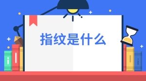 指纹是什么