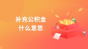 补充公积金什么意思