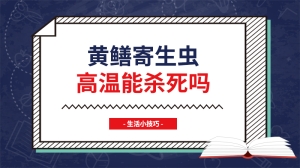 黄鳝寄生虫高温能杀死吗