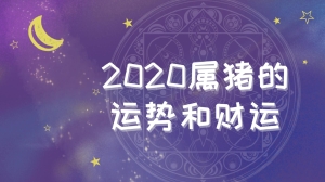 2020属猪的运势和财运