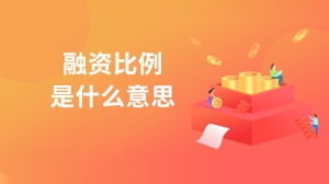 融资比例是什么意思