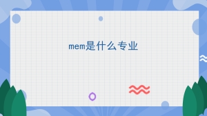 mem是什么专业