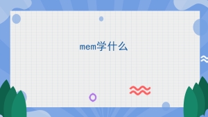 mem学什么