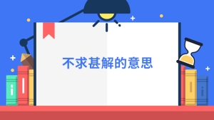 不求甚解的意思