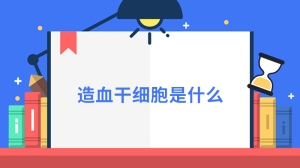 造血干细胞是什么