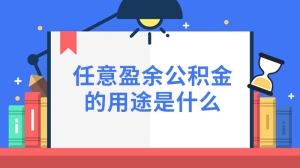 任意盈余公积金的用途是什么