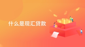 什么是现汇贷款