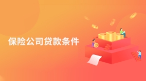 保险公司贷款条件是什么