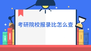 考研院校报录比怎么查