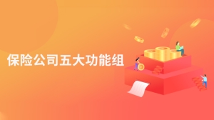 保险公司五大功能组是什么