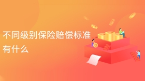 不同级别保险赔偿标准有什么