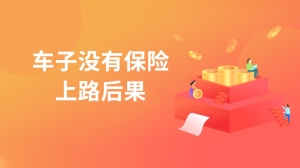 车子没有保险上路后果是什么