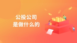 公投公司是做什么的